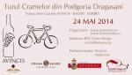 Cycling Tour across Dragasani Vineyard
