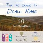 10 OCTOMBRIE - VIZITE SI DEGUSTARI DE VIN IN DEALU MARE