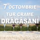 7 octombrie 2017 │ Tur de crame in podgoria Dragasani
