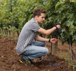 Petro Vaselo, crama cu cel mai tânăr vinificator din România