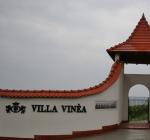 Villa Vinea, un proiect de suflet