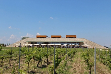 AVINCIS WINERY