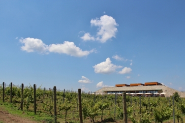 AVINCIS WINERY