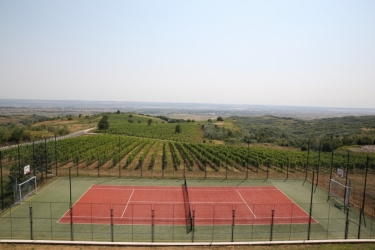 AVINCIS WINERY