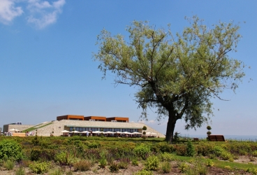 AVINCIS WINERY