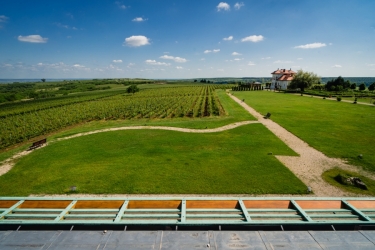 AVINCIS WINERY