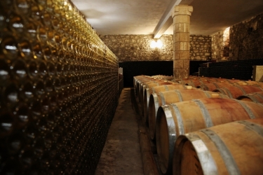 BASILESCU WINERY