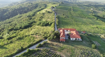 BAUER WINERY