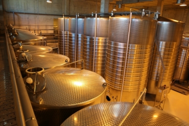 BUDUREASCA WINERY