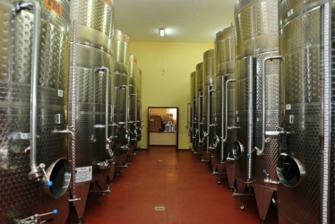 CEPARI WINERY