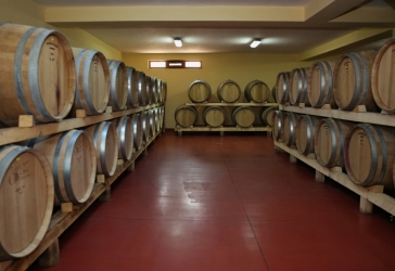 CEPARI WINERY