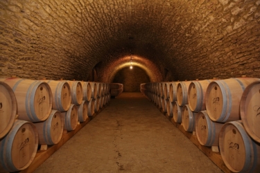 COTNARI WINE HOUSE