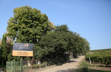 COTNARI WINE HOUSE