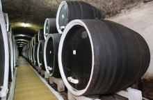COTNARI WINERY