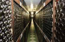 COTNARI WINERY