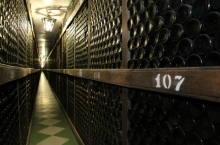 COTNARI WINERY