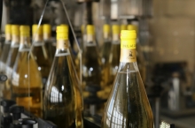 COTNARI WINERY