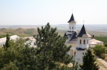 COTNARI WINERY