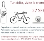Cycling tour, visits to wineries and wine-tastings