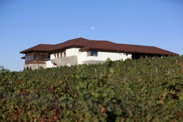 DAVINO WINERY