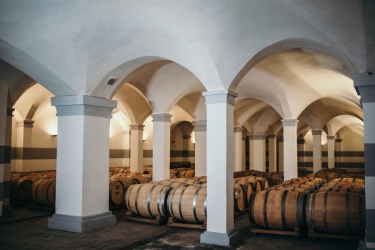 DOMAINE VINARTE BOLOVANU