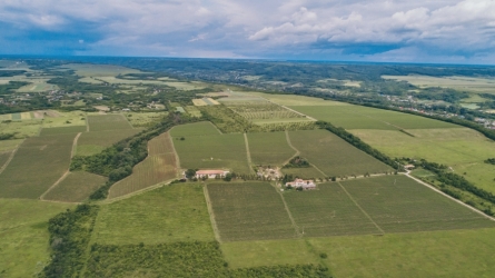 DOMAINE VINARTE BOLOVANU