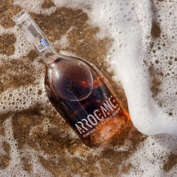 DOMENIILE FRANCO-ROMÂNE