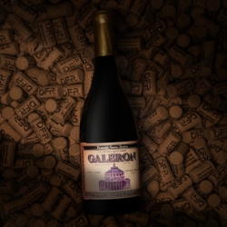 DOMENIILE FRANCO-ROMÂNE