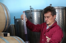 DOMENIUL VLADOI 