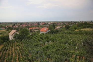 FAMILIA HETEI WINERY