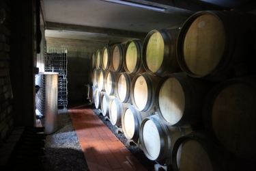 FERDI WINERY