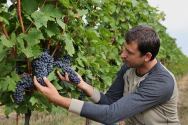 GIRBOIU WINERY