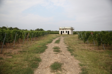 GIRBOIU WINERY