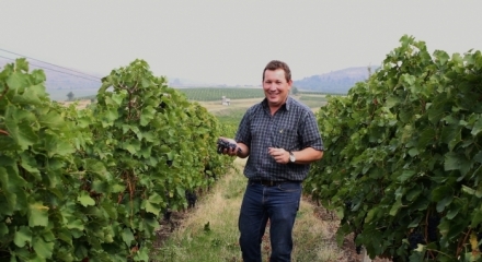 Interview with Albertus Van Der Merwe, wines from the New World at Tohani estate 