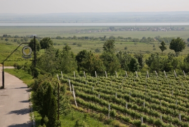 IORDACHE WINE HOUSE