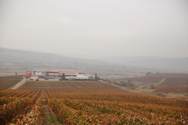 JIDVEI WINERY