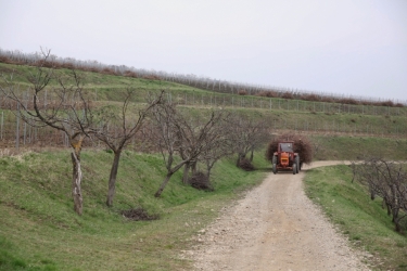 LA SALINA WINERY