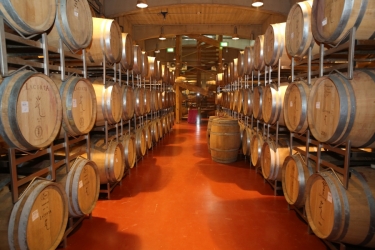 LACERTA WINERY