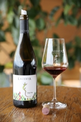 LACERTA WINERY