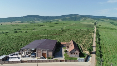 MAXIMARC WINERY