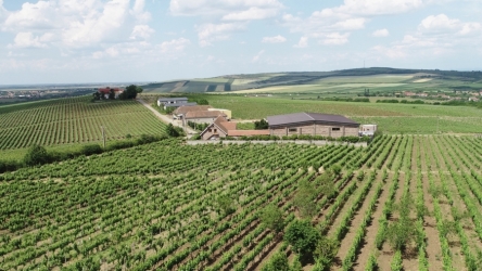 MAXIMARC WINERY