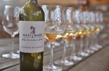 MAXIMARC WINERY