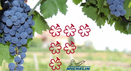MICHELIN Grapes 2026: Celebrating excellence in wine