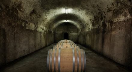 Oak Barrels