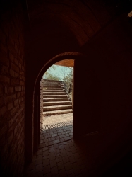 PARINTE WINE / DEALUL GOLESTILOR WINERY