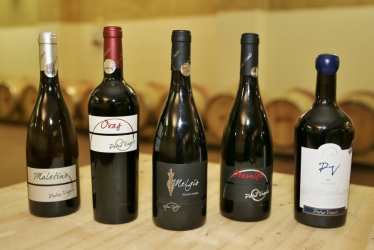 PETRO VASELO WINERY