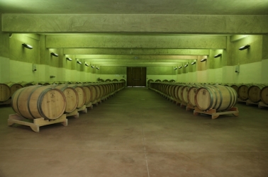 PETRO VASELO WINERY