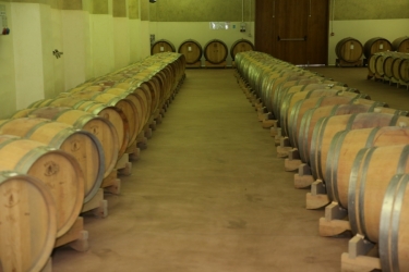 PETRO VASELO WINERY