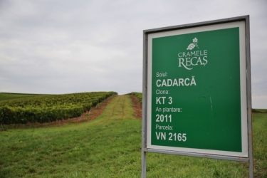 RECAS WINERIES