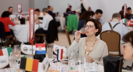 Record for Romania at Concours Mondial de Bruxelles: the highest number of rosé wines ever entered in the competition
